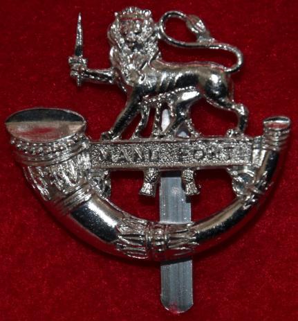 Anodised Hereford LI Cap Badge