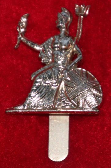 Anodised R Norfolk Regt Beret Badge