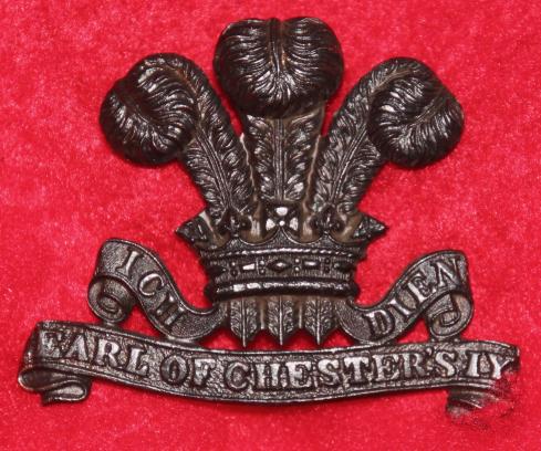 Cheshire IY OSD Collar Badge