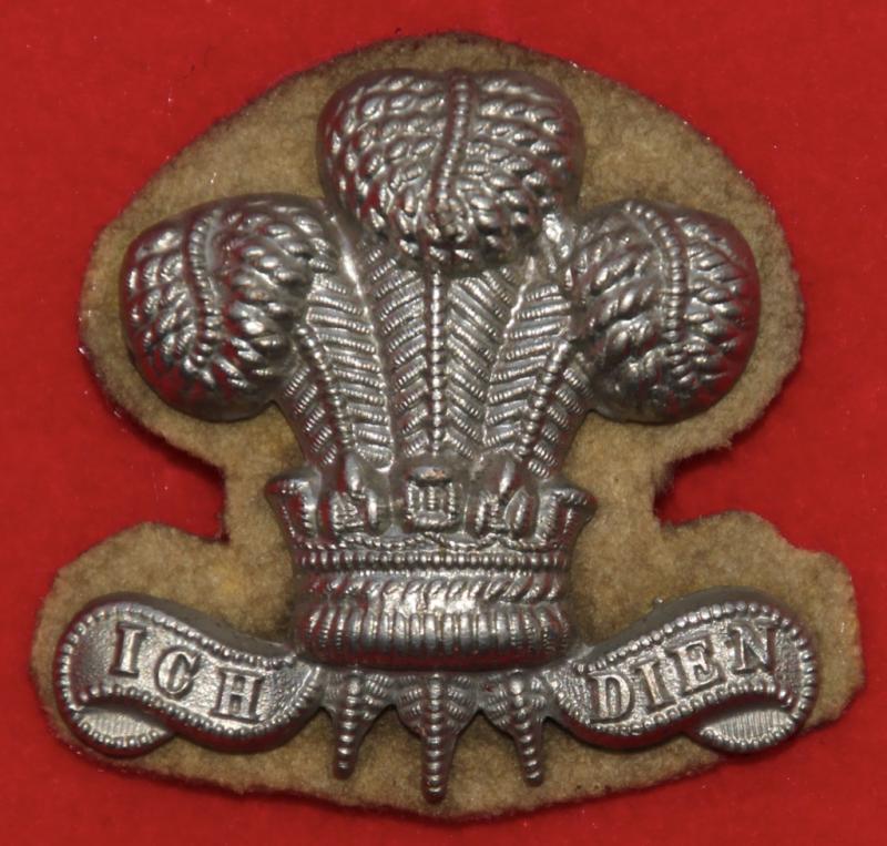 77th Foot Collar Badge