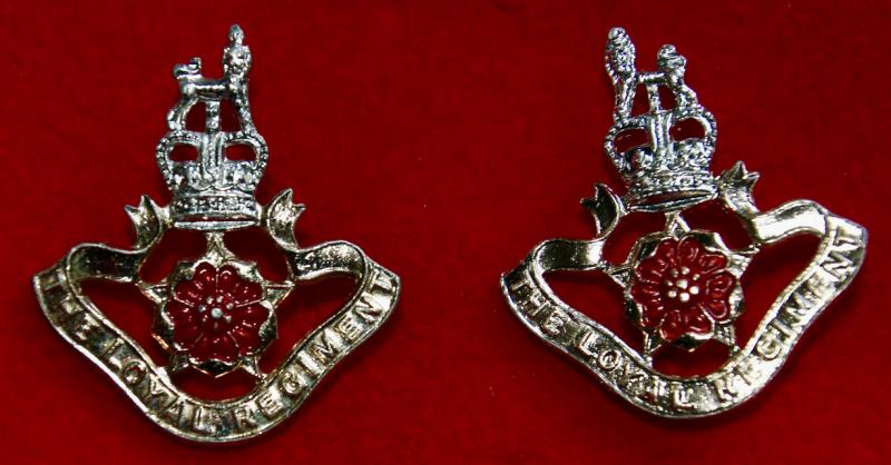 Anodised Loyal Regt Collar Badges