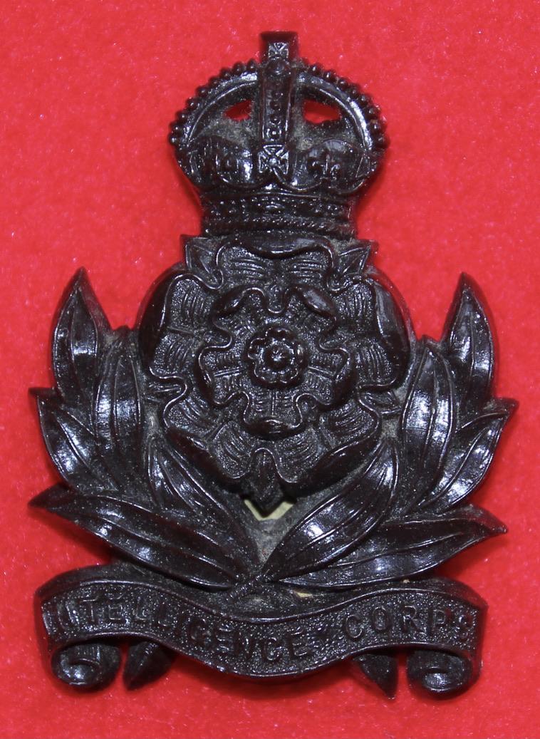 Intel Corps Plastic Cap Badge