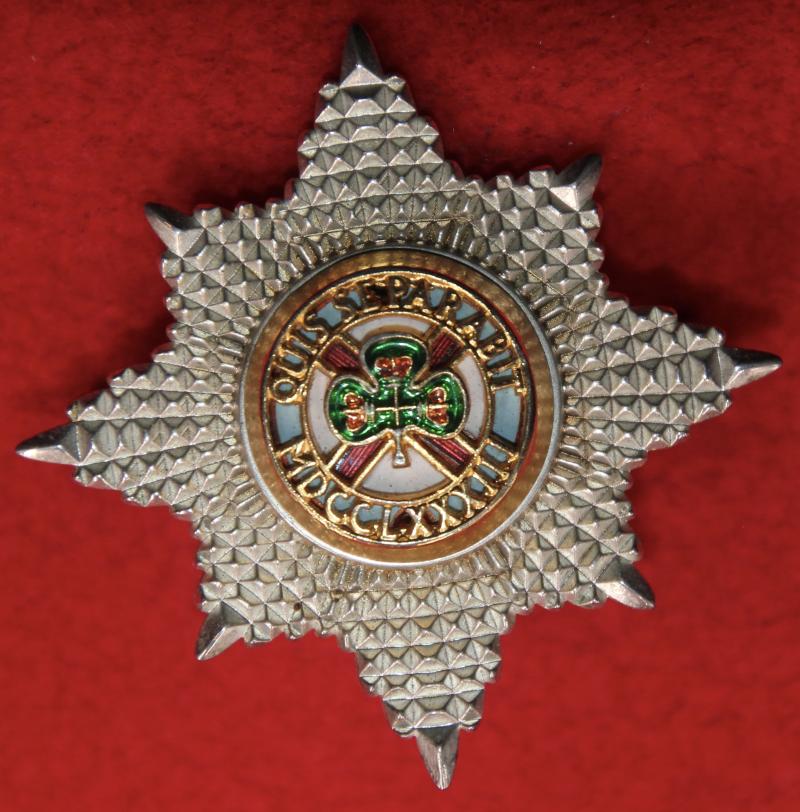 Irish Guards Officer's Cap Badge