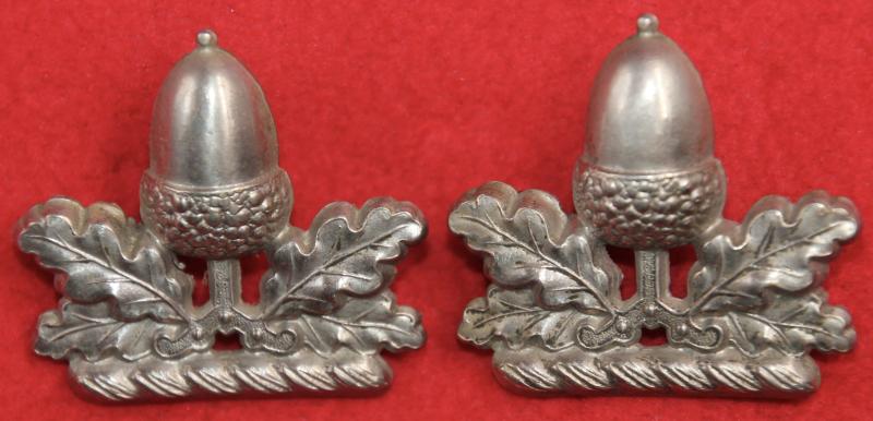 1st Warwicks RVC Collar Badges