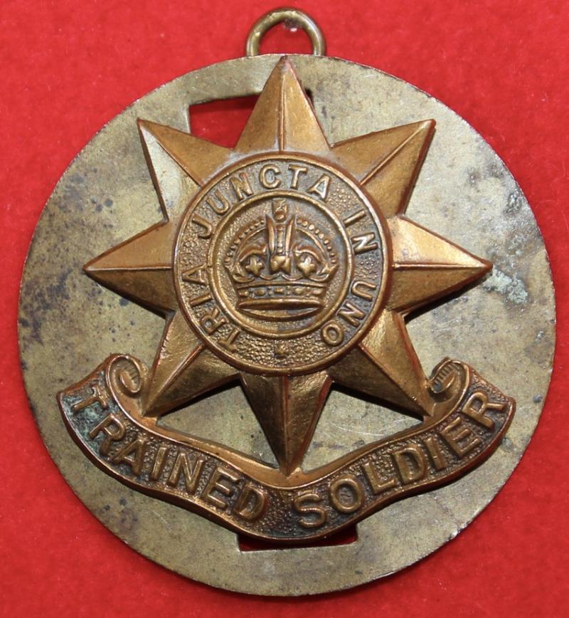 Guards Trained Soldier Arm Badge