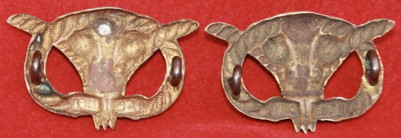 Victorian N Staffs Collar Badges