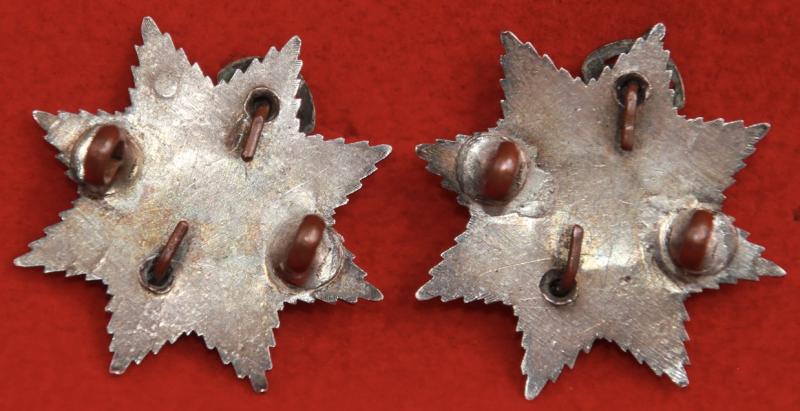 Devon TA Officer's Collar Badges