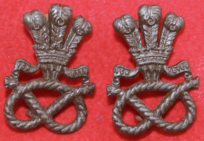 N Staffs OSD Collar Badges