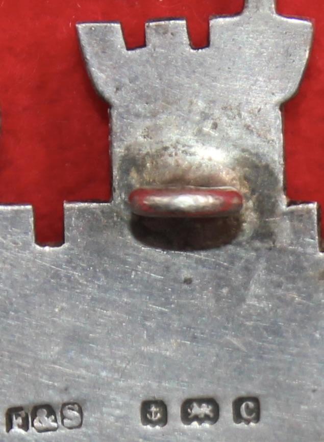 6th Dragoons NCO's HM Arm Badge