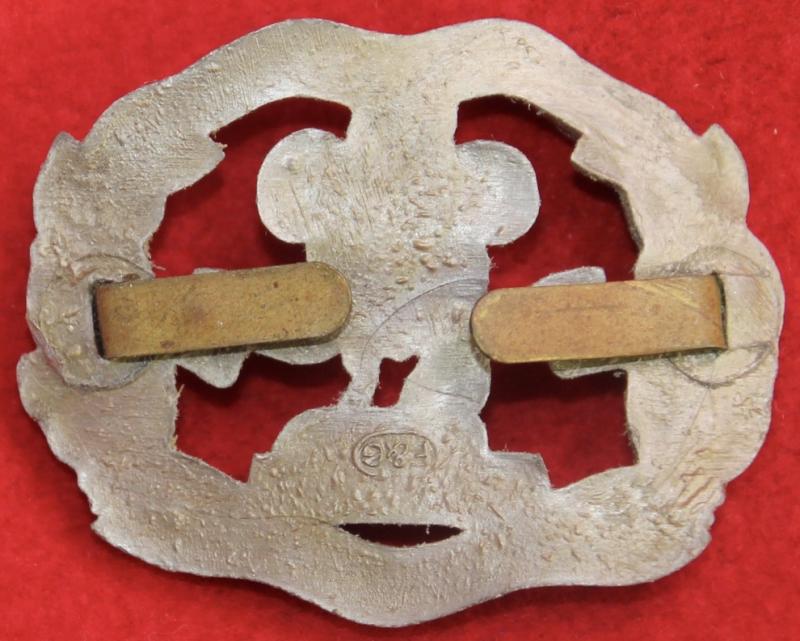 S Lancs Plastic Cap Badge
