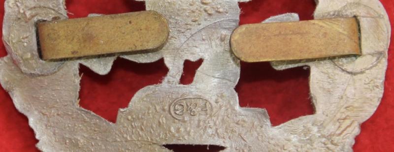 S Lancs Plastic Cap Badge