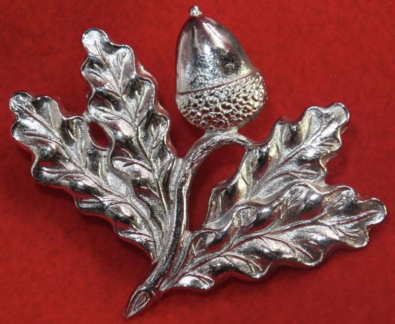 SNH Cap Badge