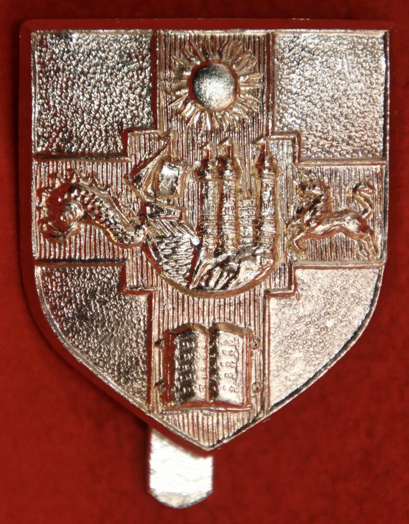 Anodised Bristol University OTC Beret Badge